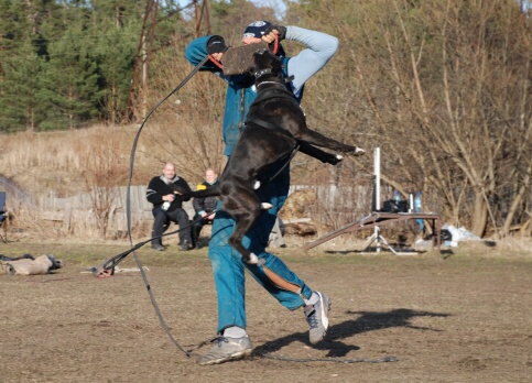 Training in Estonia 30.3 - 1.4. 2007